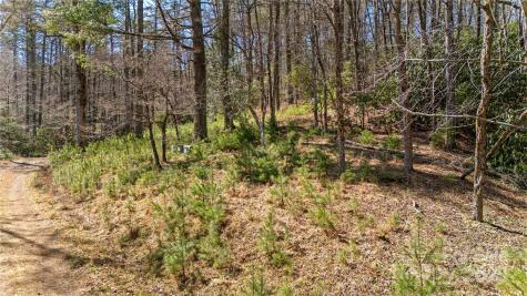 361 Rooster Cove Brevard NC 28712