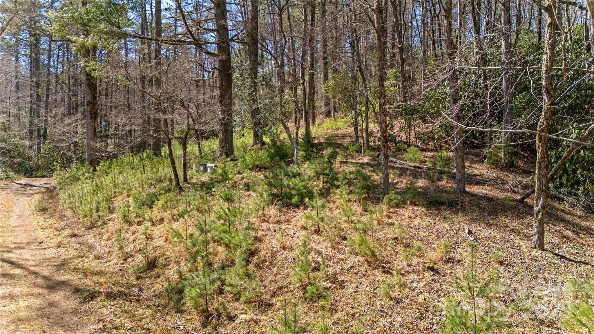 361 Rooster Cove Brevard NC 28712