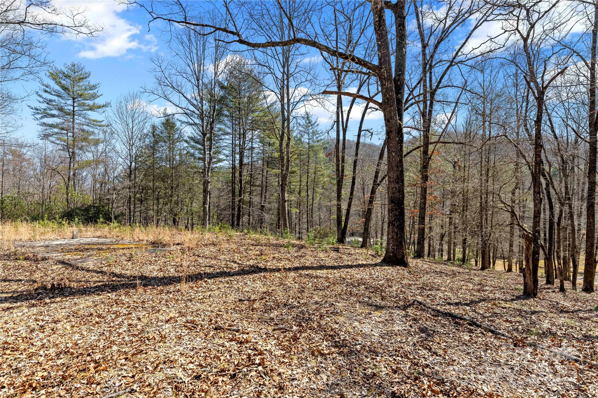 361 Rooster Cove Brevard NC 28712