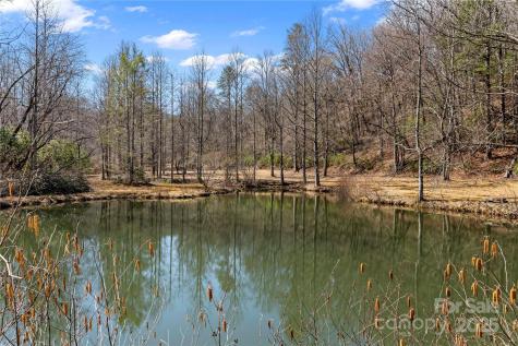 361 Rooster Cove Brevard NC 28712