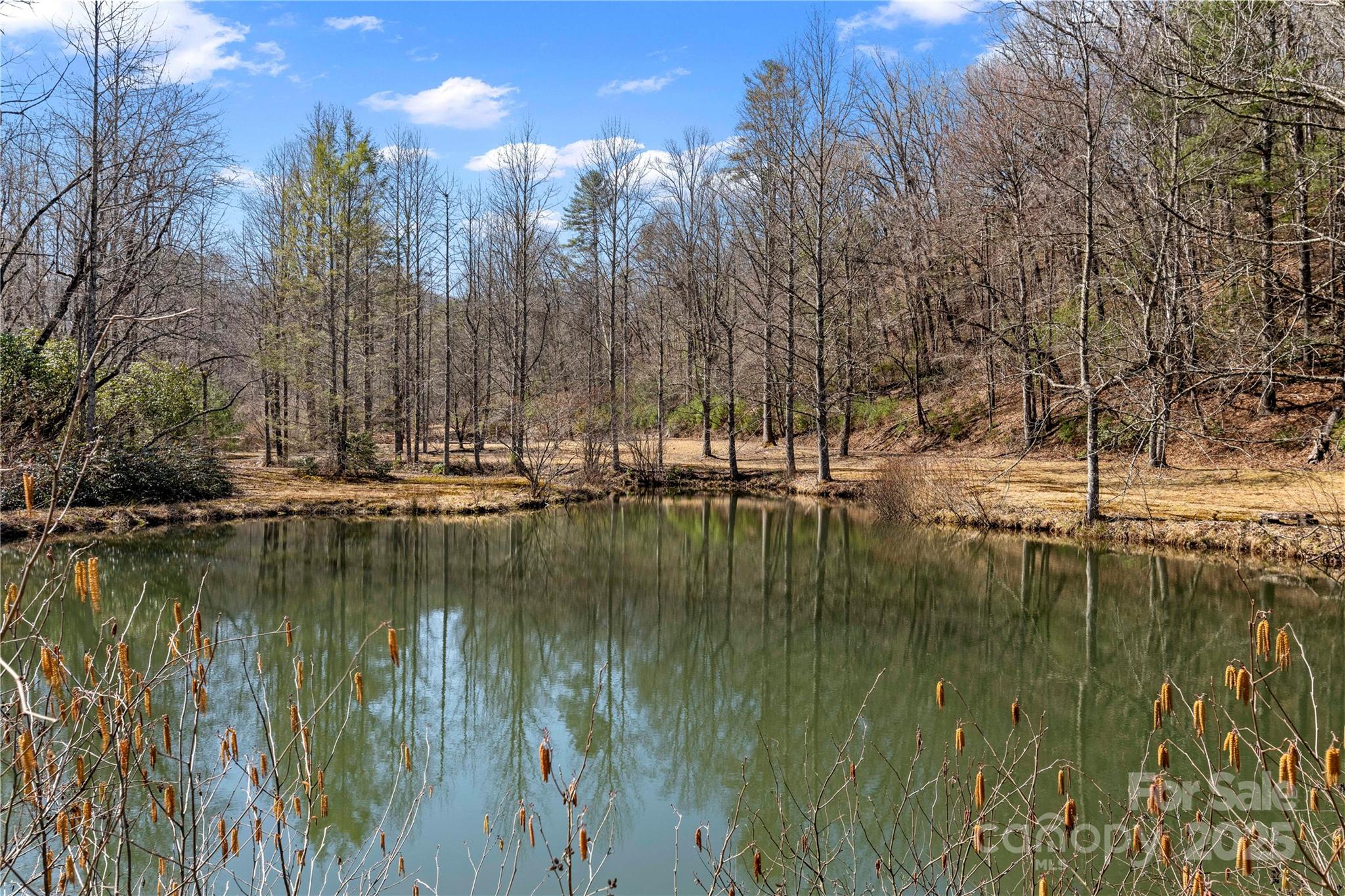 361 Rooster Cove Brevard NC 28712