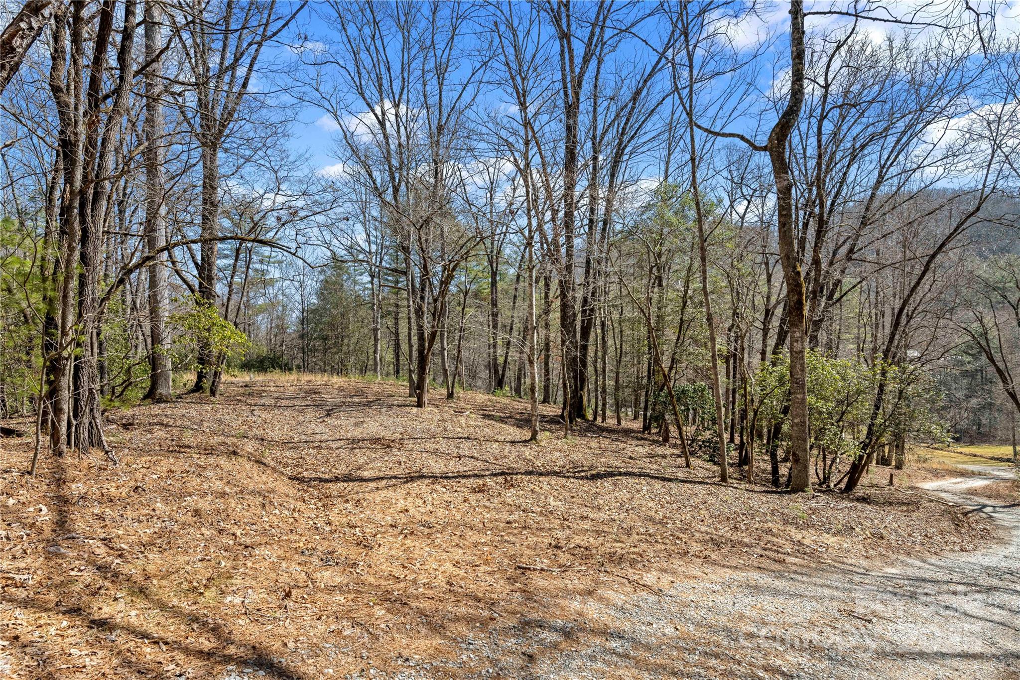 361 Rooster Cove Brevard NC 28712