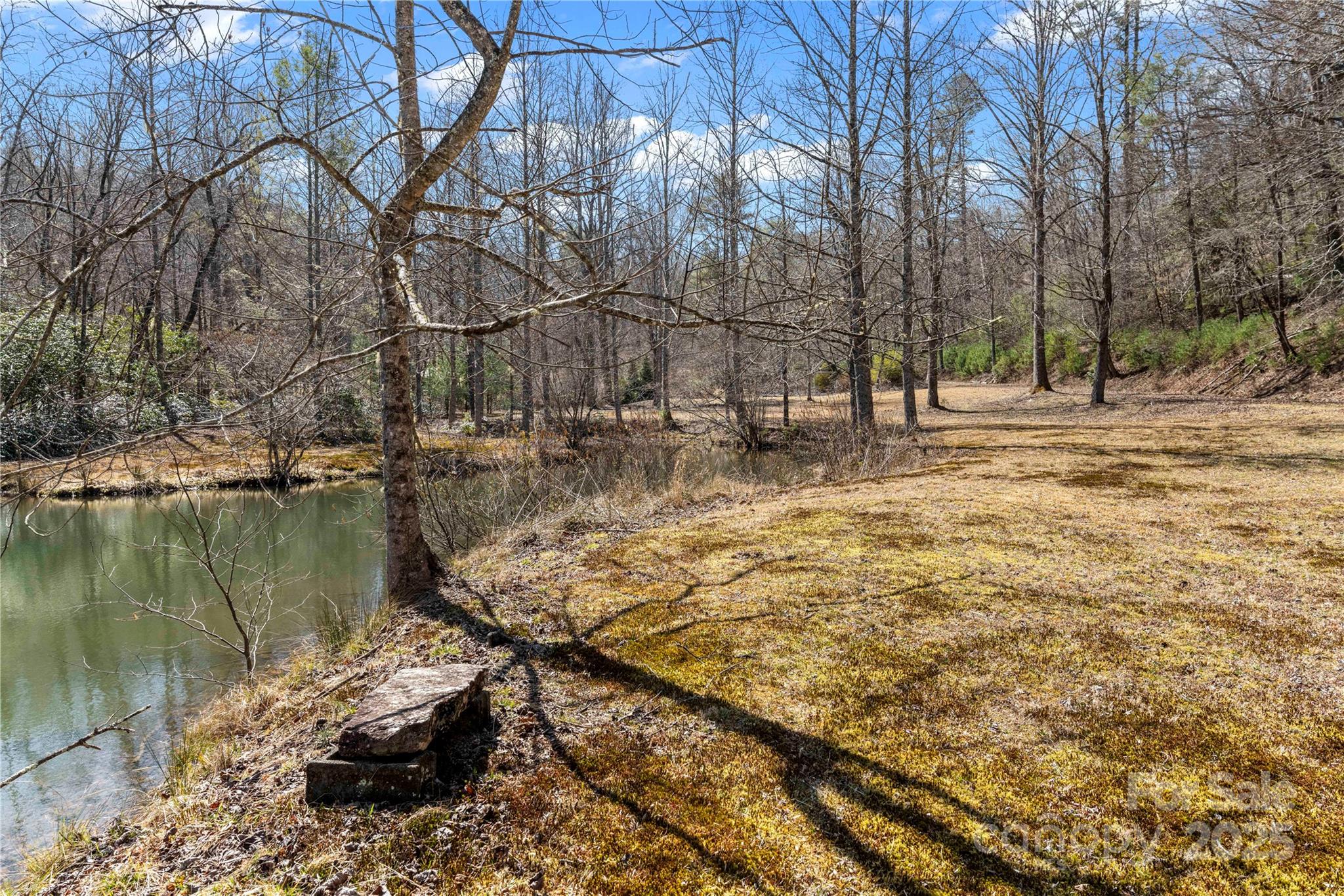 361 Rooster Cove Brevard NC 28712