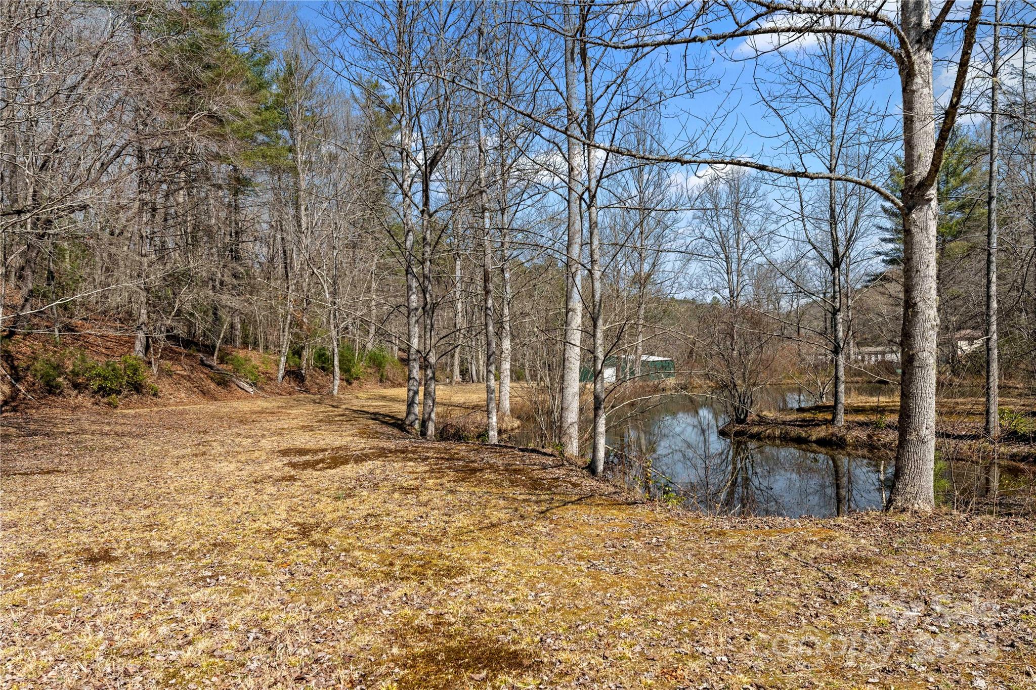 361 Rooster Cove Brevard NC 28712