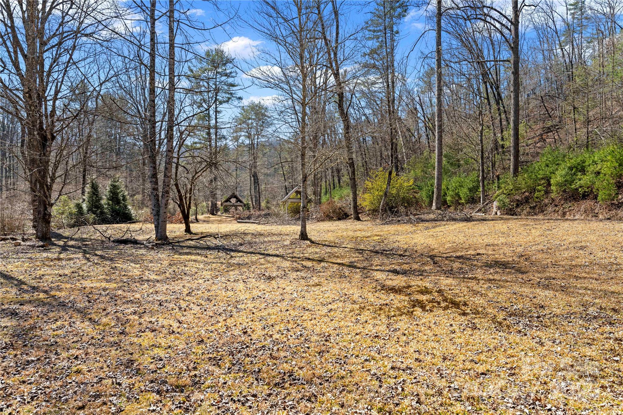 361 Rooster Cove Brevard NC 28712