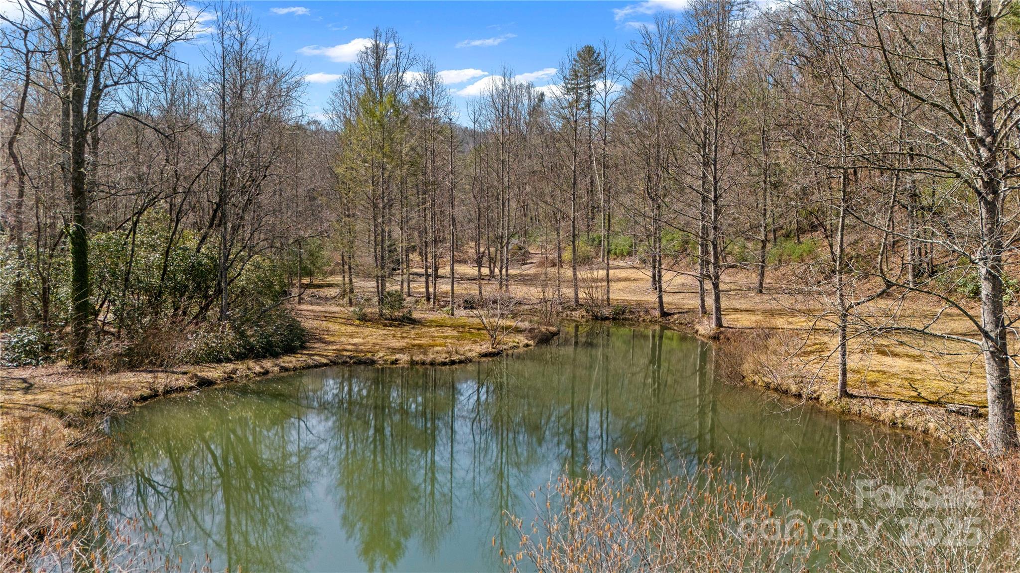 361 Rooster Cove Brevard NC 28712