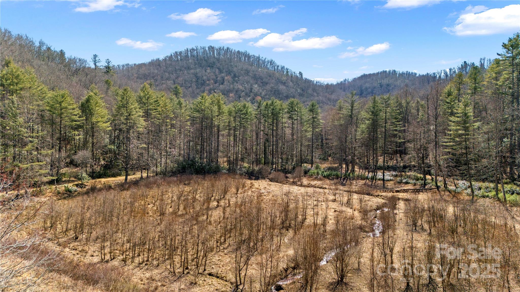 361 Rooster Cove Brevard NC 28712