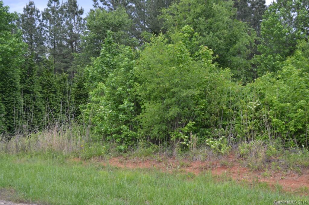 6505 Amberwood Drive Mount Holly NC 28120