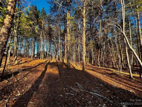 127 Hunt Camp Trail Davidson NC 28036