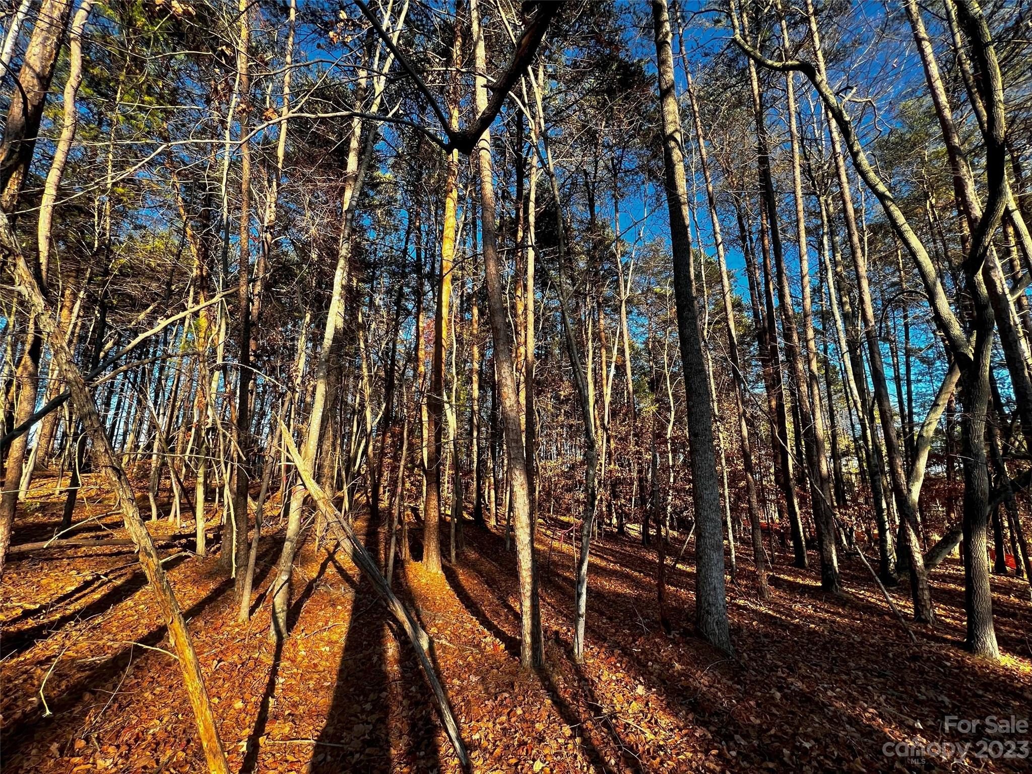 127 Hunt Camp Trail Davidson NC 28036