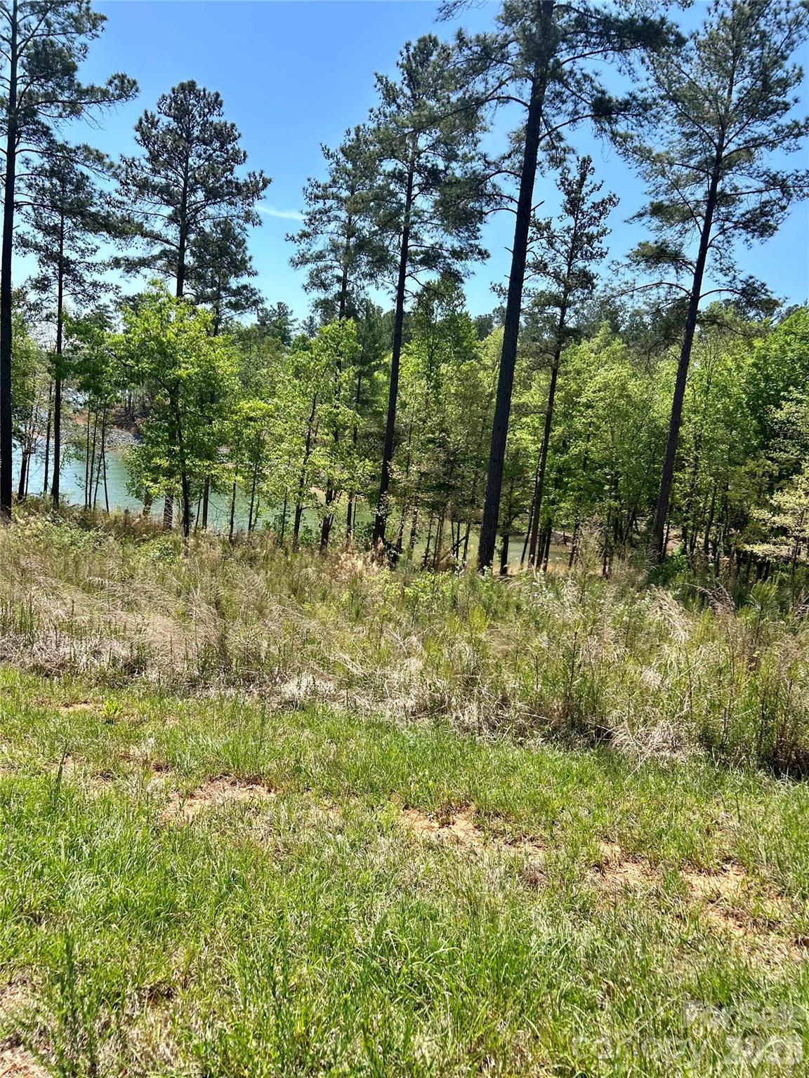 2960 Jumping Run Connelly Springs NC 28612