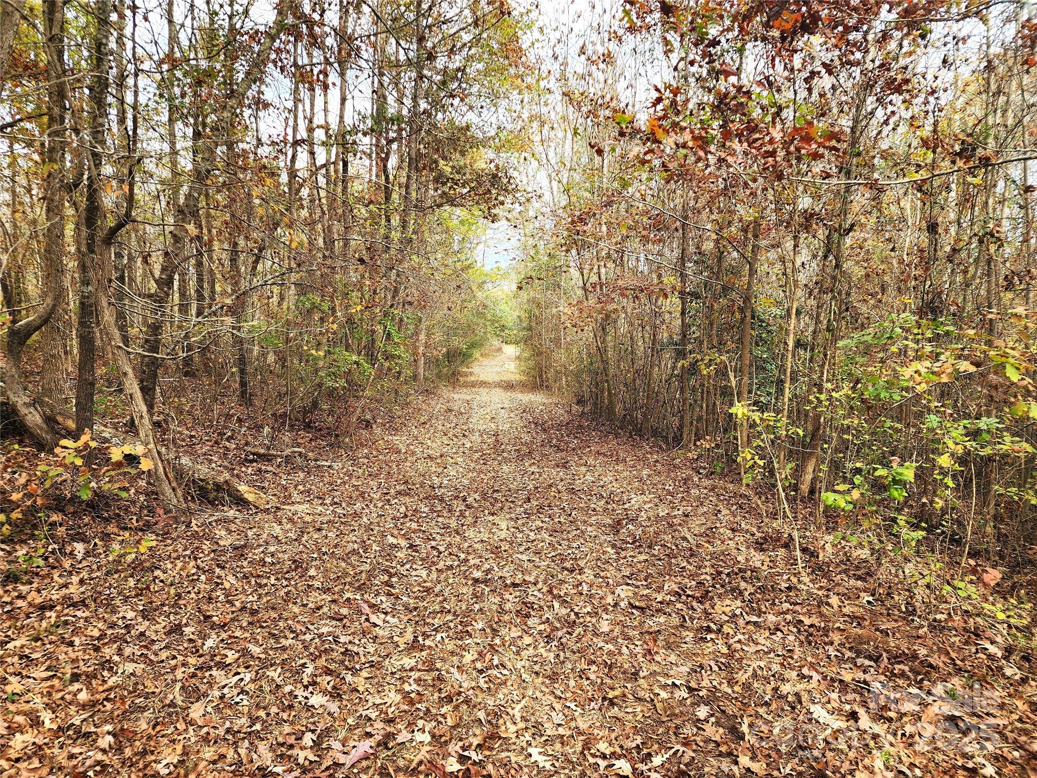 2351 Reges Store Road Nashville NC 27856
