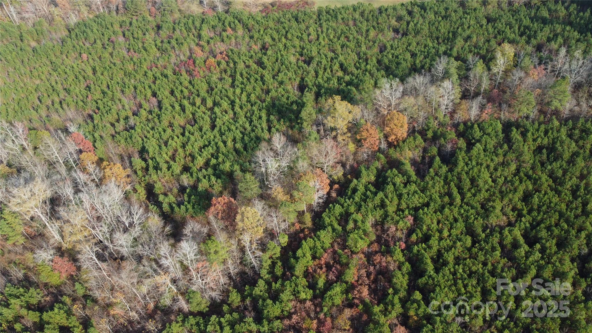 2351 Reges Store Road Nashville NC 27856