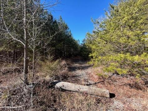 164 Blackburn Drive Grover NC 28073