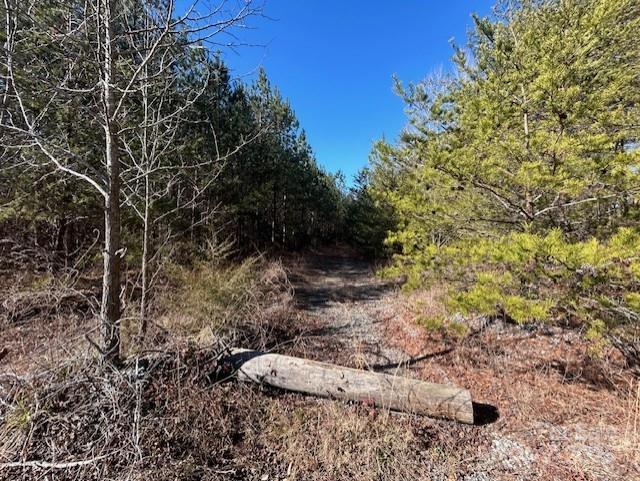 164 Blackburn Drive Grover NC 28073