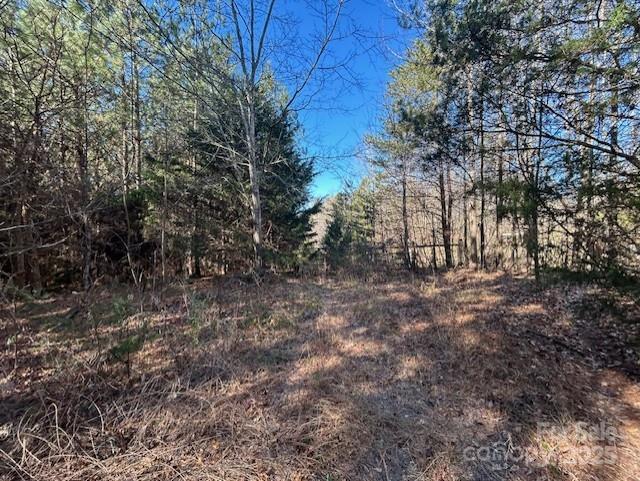 164 Blackburn Drive Grover NC 28073