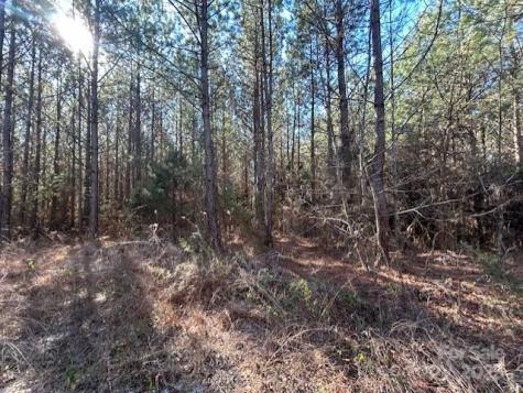 164 Blackburn Drive Grover NC 28073