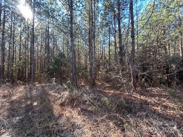 164 Blackburn Drive Grover NC 28073