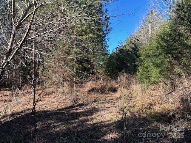 164 Blackburn Drive Grover NC 28073