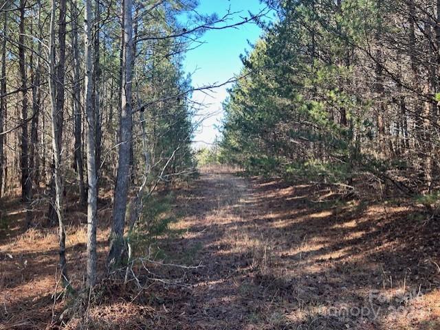 164 Blackburn Drive Grover NC 28073