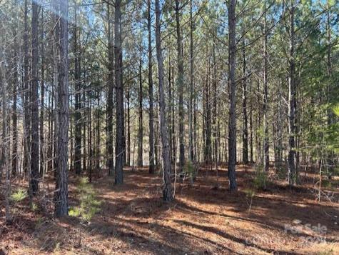 164 Blackburn Drive Grover NC 28073