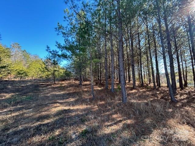 164 Blackburn Drive Grover NC 28073