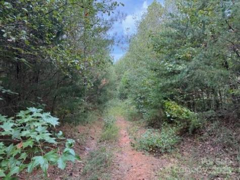 164 Blackburn Drive Grover NC 28073