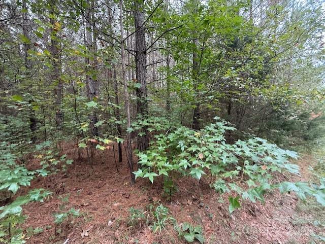 164 Blackburn Drive Grover NC 28073