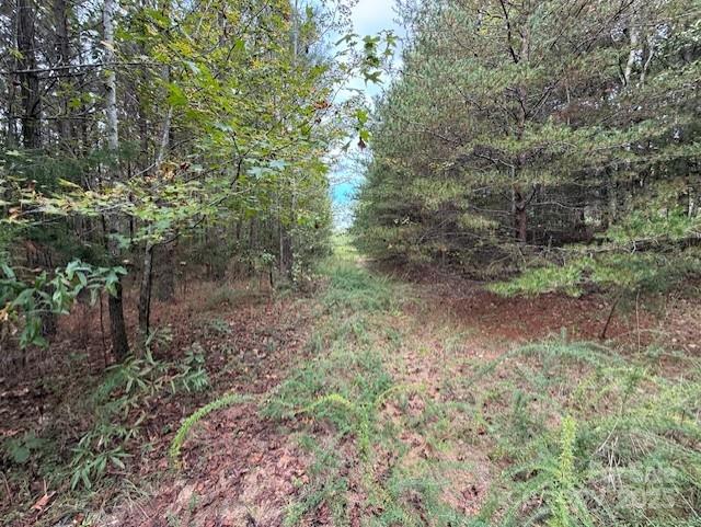 164 Blackburn Drive Grover NC 28073