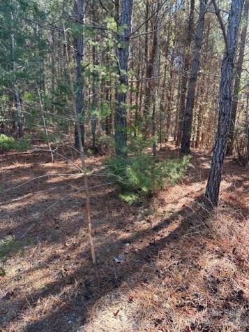 164 Blackburn Drive Grover NC 28073