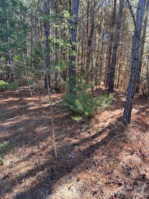 164 Blackburn Drive Grover NC 28073