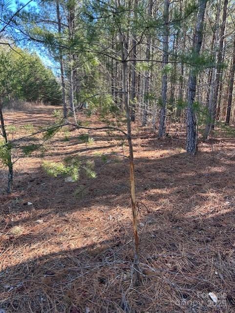 164 Blackburn Drive Grover NC 28073