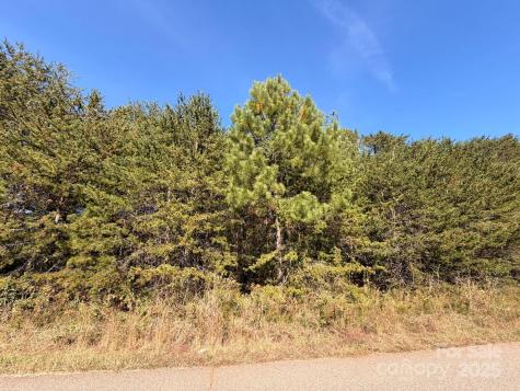 1953 Milton Street Newton NC 28658