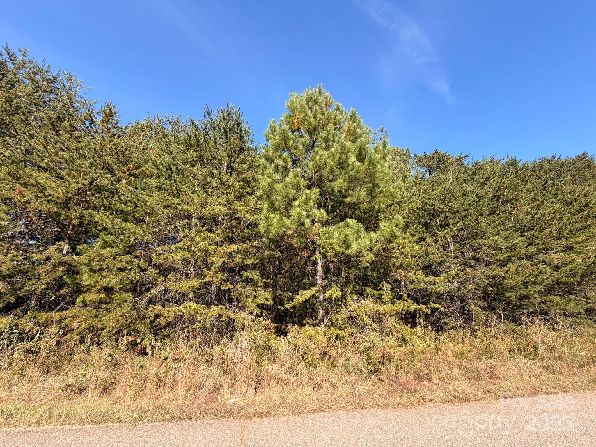 1953 Milton Street Newton NC 28658