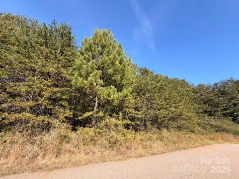 1953 Milton Street Newton NC 28658