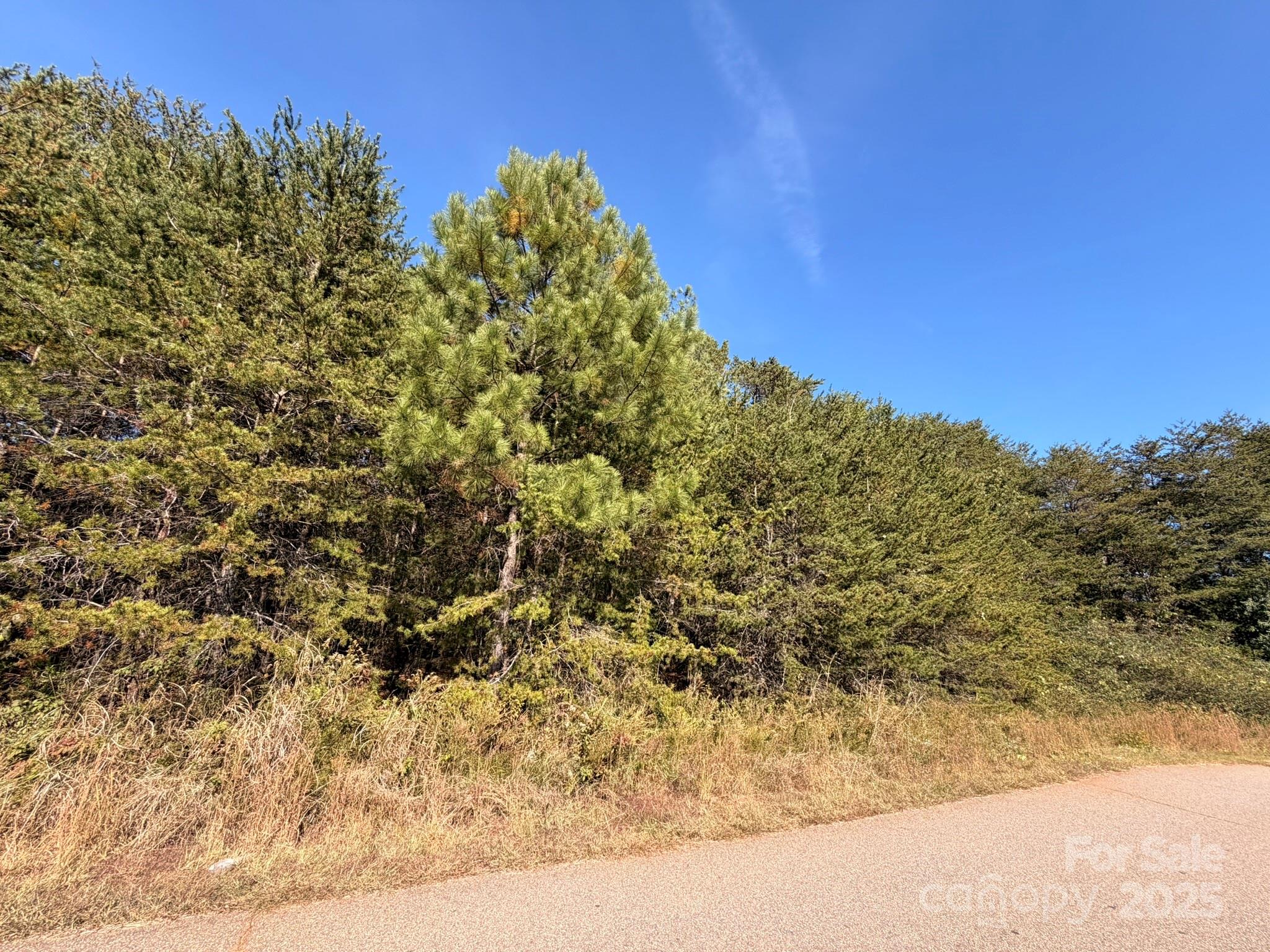 1953 Milton Street Newton NC 28658