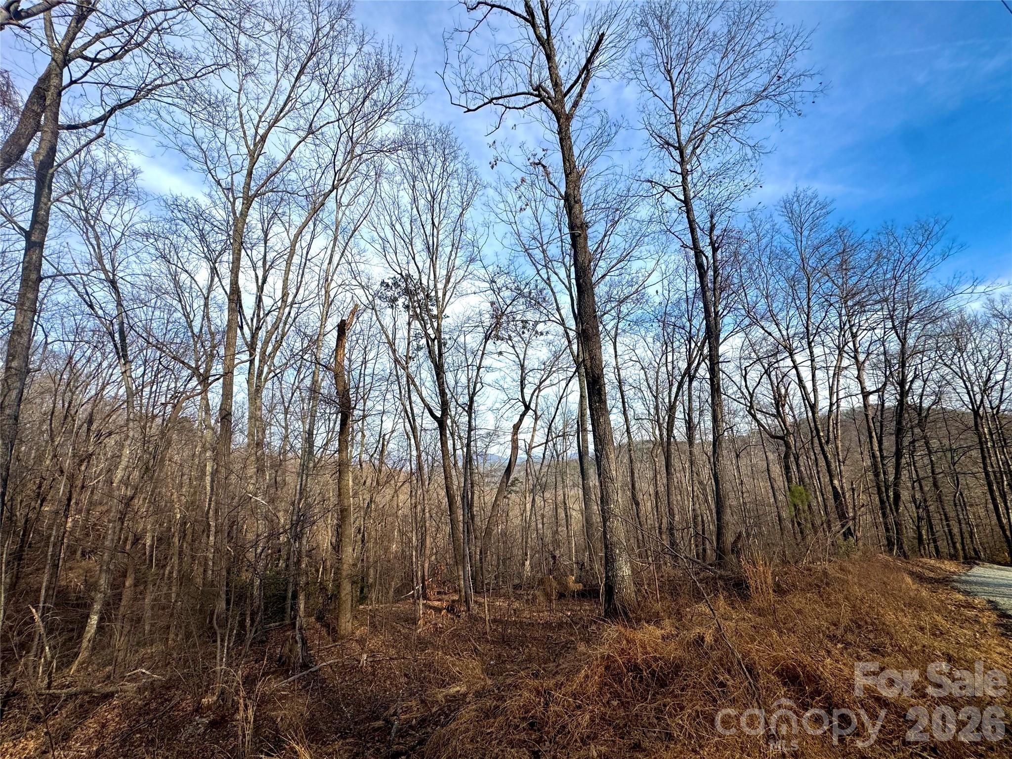 0 Peartree Drive Lake Lure NC 28746