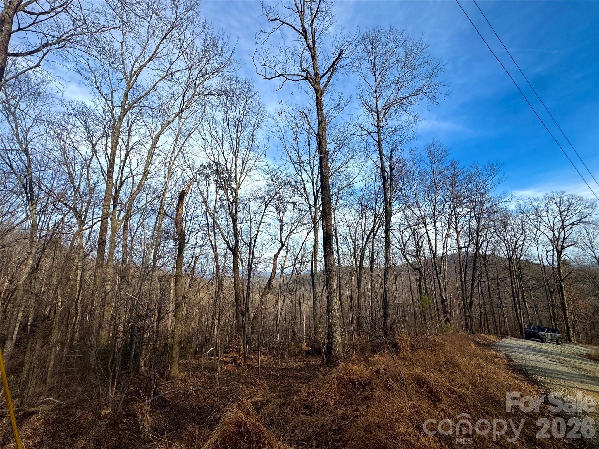 0 Peartree Drive Lake Lure NC 28746