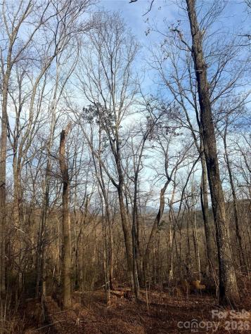 0 Peartree Drive Lake Lure NC 28746