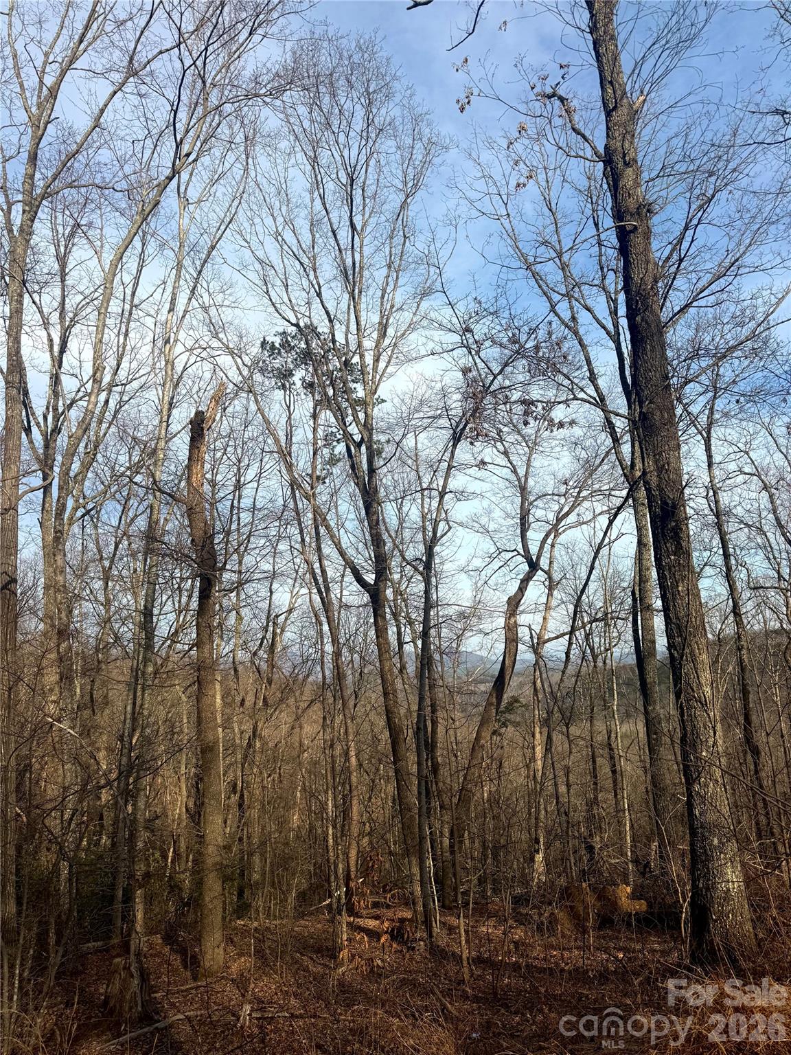 0 Peartree Drive Lake Lure NC 28746