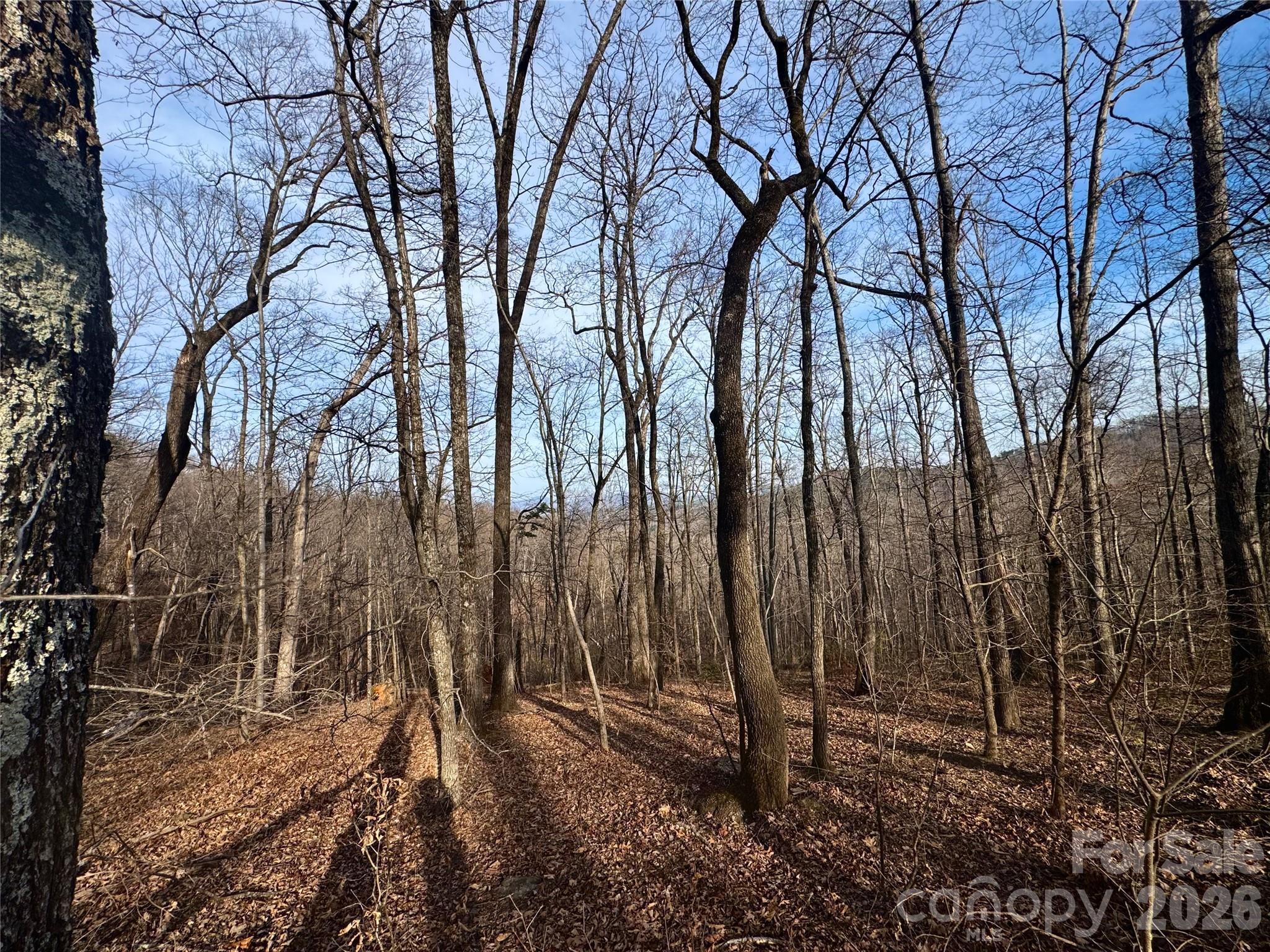 0 Peartree Drive Lake Lure NC 28746