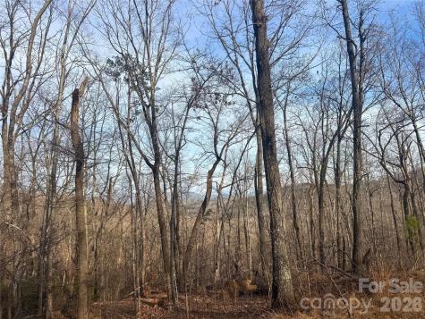 0 Peartree Drive Lake Lure NC 28746