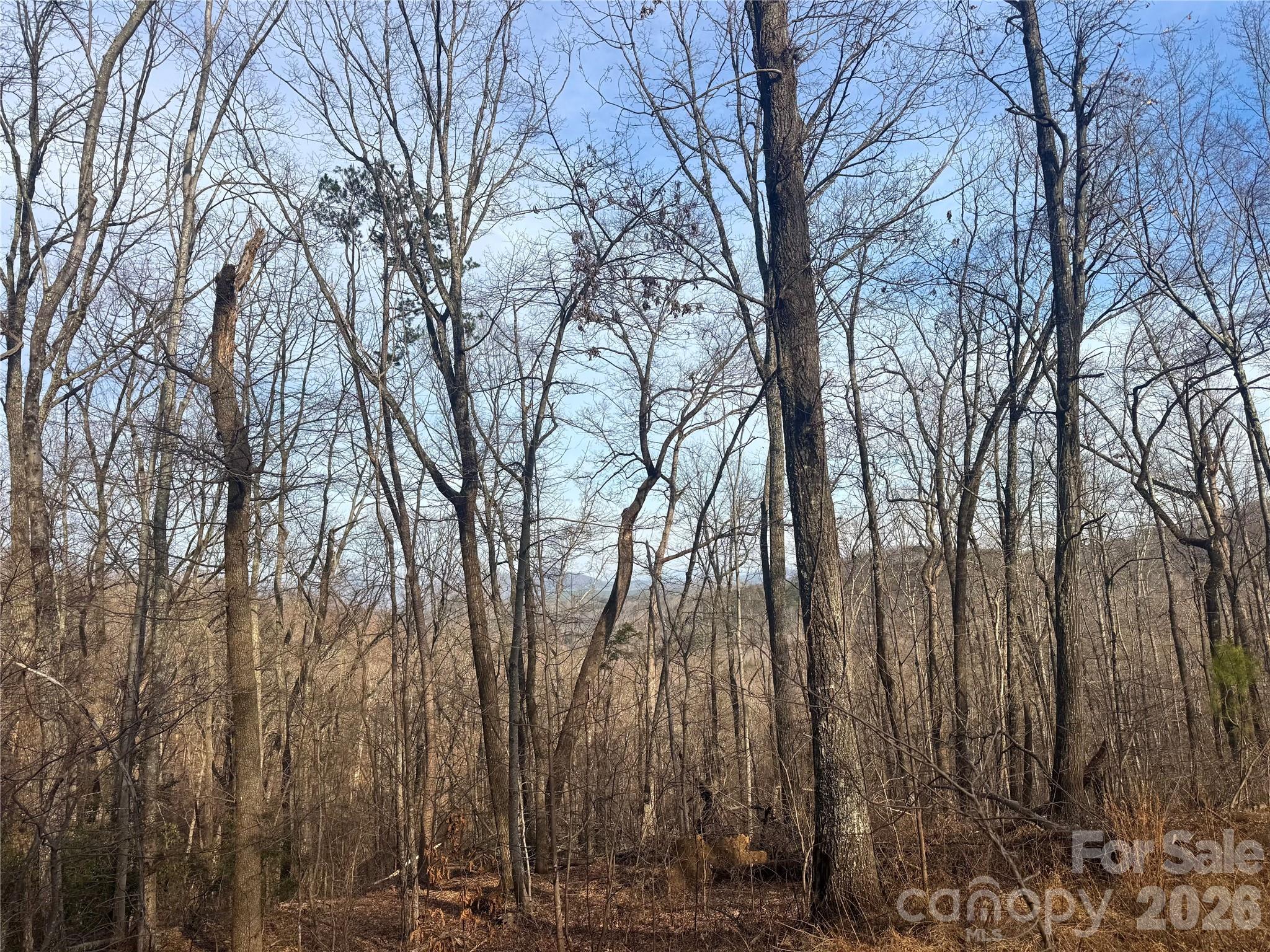 0 Peartree Drive Lake Lure NC 28746