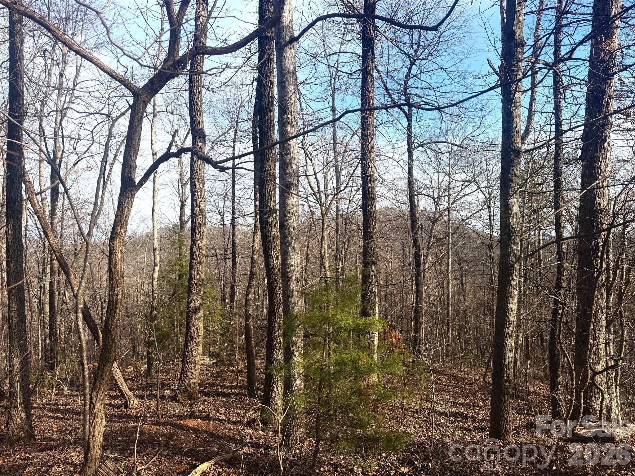 0 Peartree Drive Lake Lure NC 28746