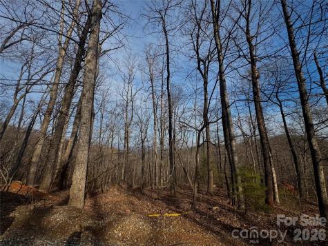 0 Peartree Drive Lake Lure NC 28746