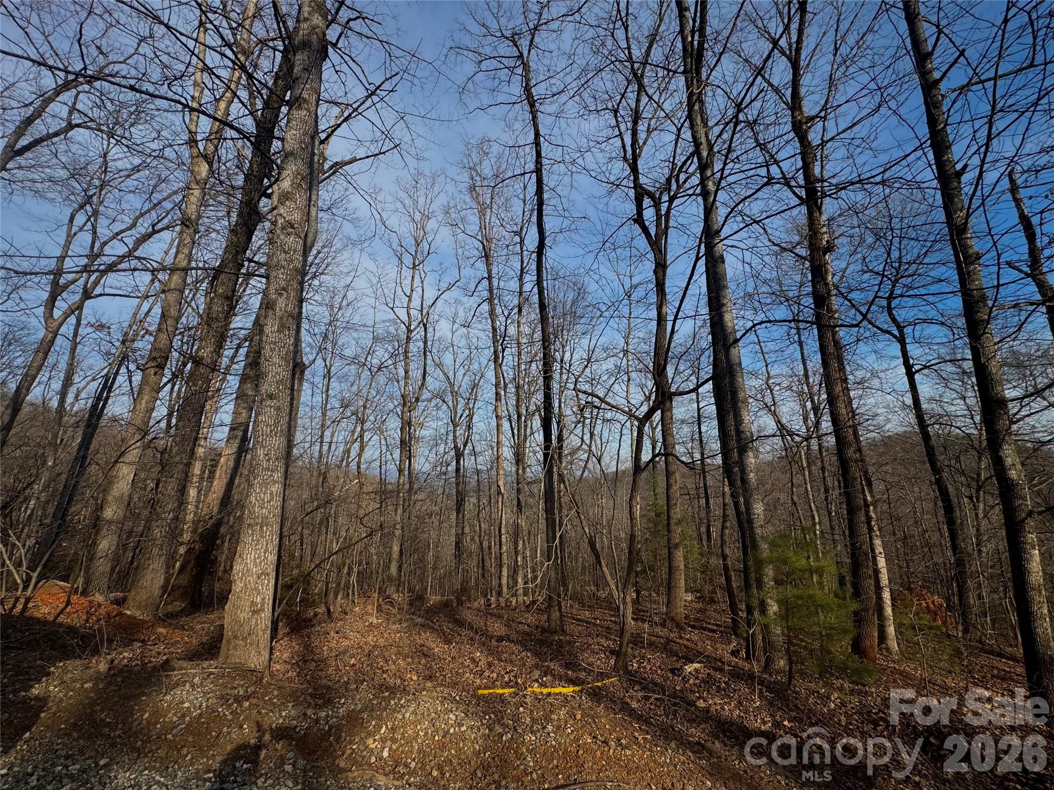 0 Peartree Drive Lake Lure NC 28746