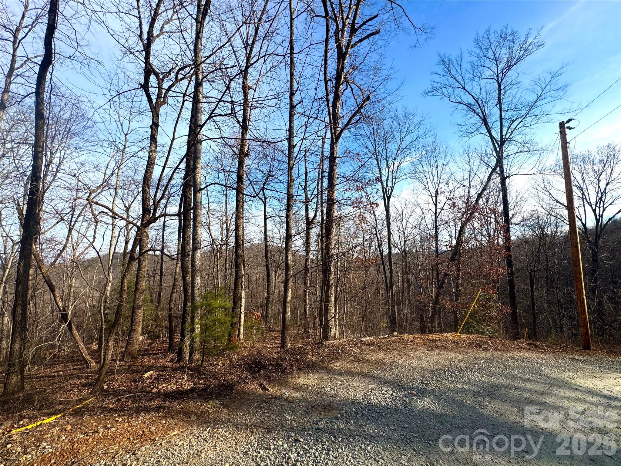 0 Peartree Drive Lake Lure NC 28746