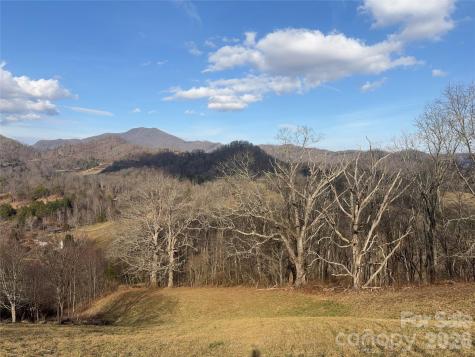 00 Everview Lane Waynesville NC 28785