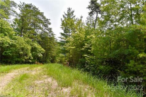 Lot 22 The Vines Boulevard Marshall NC 28753