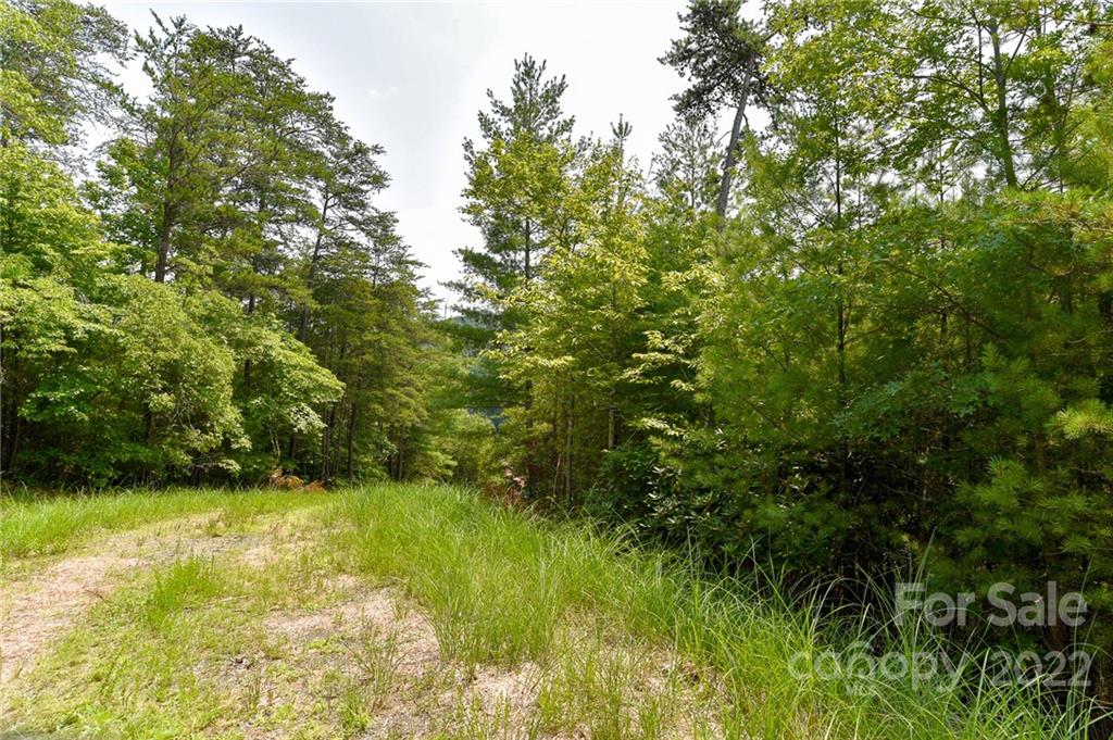 Lot 22 The Vines Boulevard Marshall NC 28753